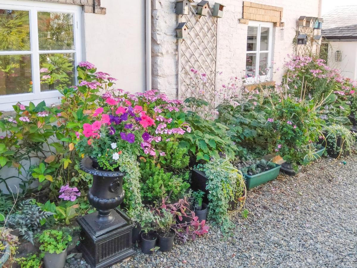 The Tower Cottage Llangollen Ngoại thất bức ảnh